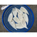 Cheap Price Cleaned Frozen U10 Squid Tube